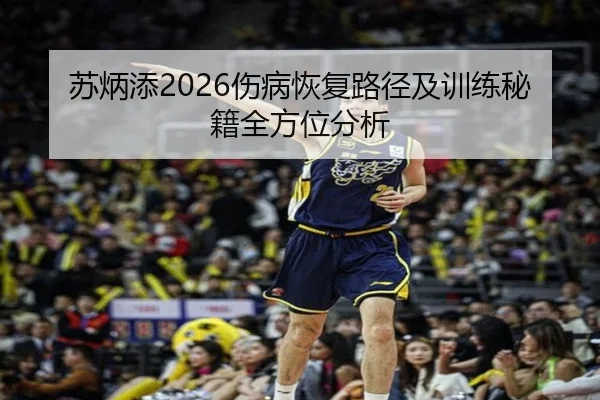 苏炳添2026伤病恢复路径及训练秘籍全方位分析