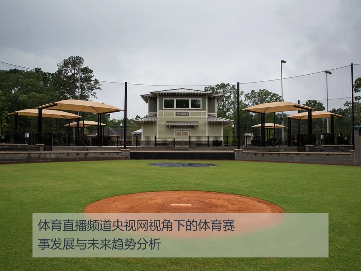 体育直播频道央视网视角下的体育赛事发展与未来趋势分析